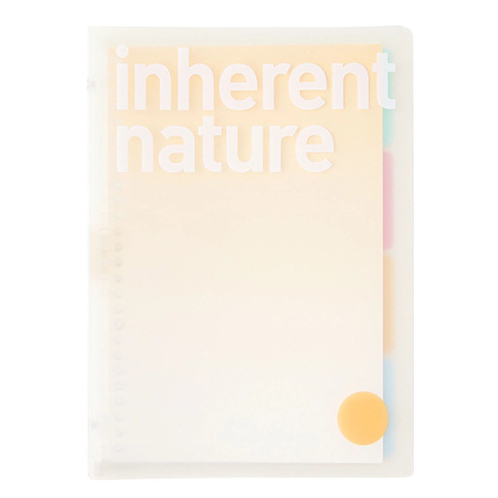 Letter Size Transparent Plastic Loose Leaf Binder 3