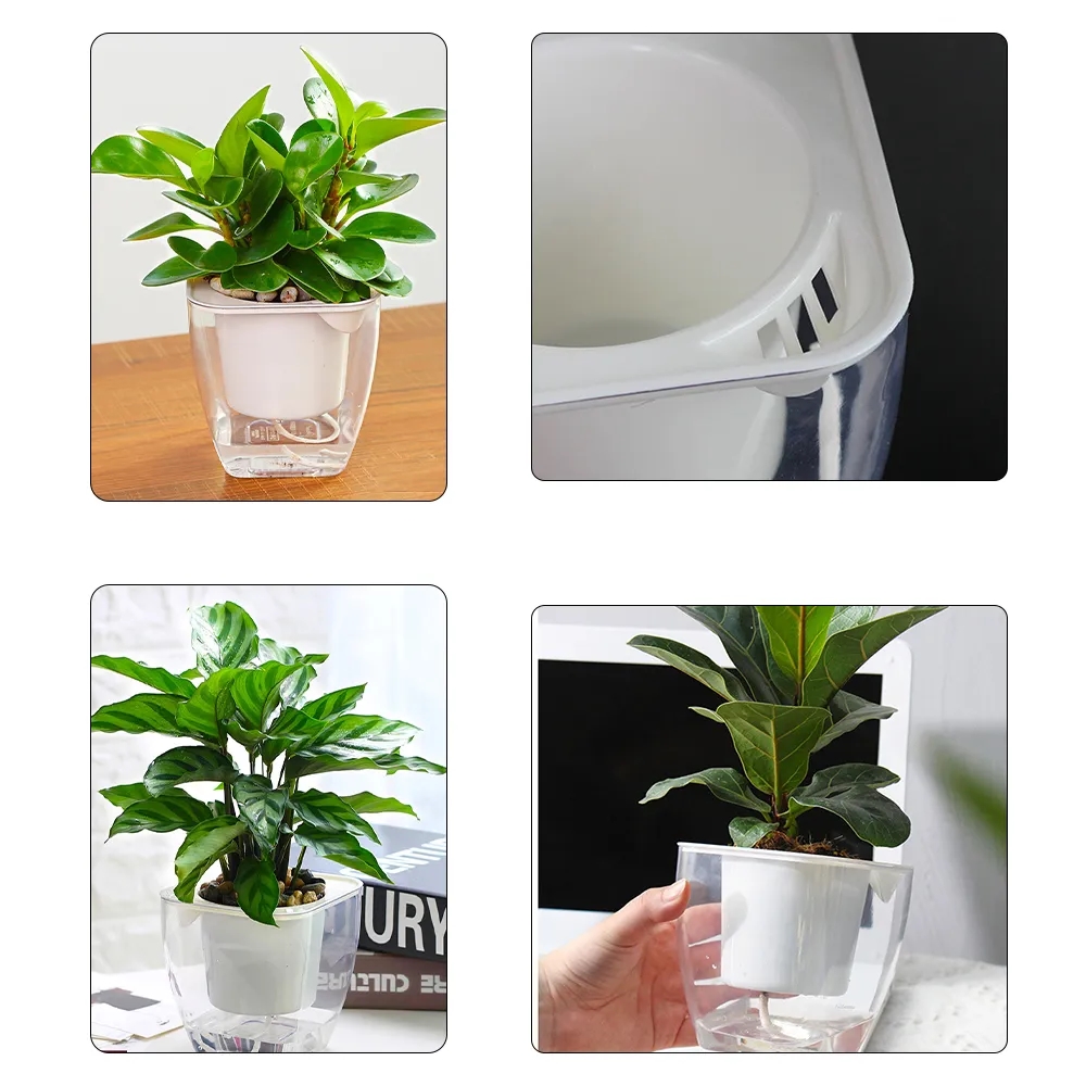 Transparent Lazy Plant Pot - Self-Watering and Stylish	