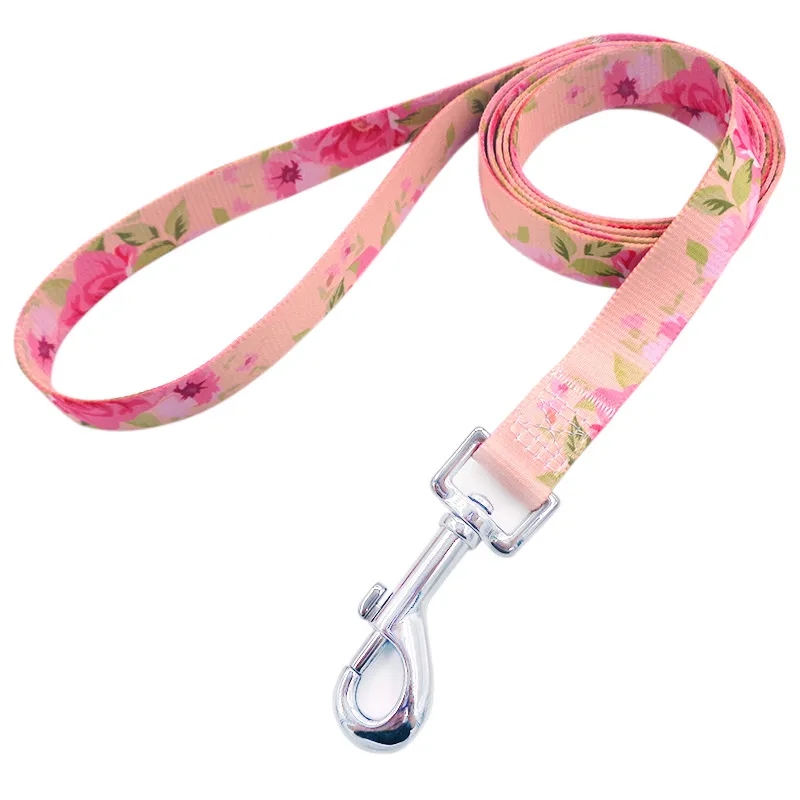 Pet Dog Leash with Easy-to-Use Collar Hook	