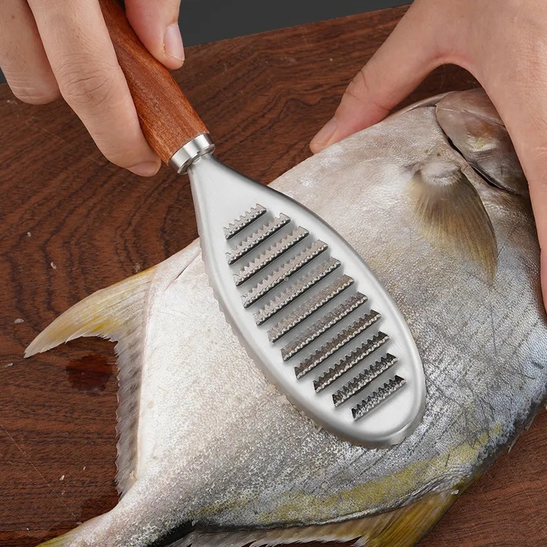 Stainless Steel Fish Scaler & Grater with Wooden Handle	